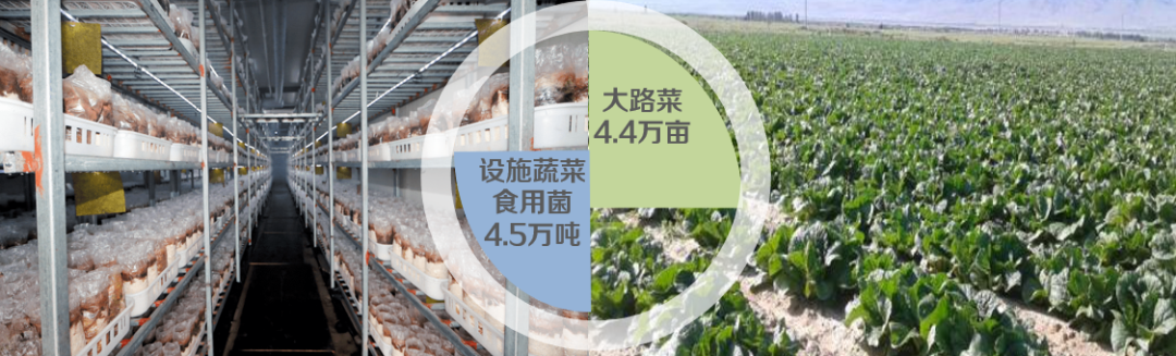 集團全力助推陜西淳化縣委托招商引資，激發產業新活力，培育發展新動能！
